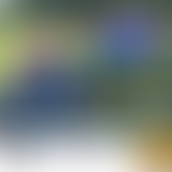 KOMM MIT zum FV und bereichere den Mädchen-Fußball in der Grimmstadt!