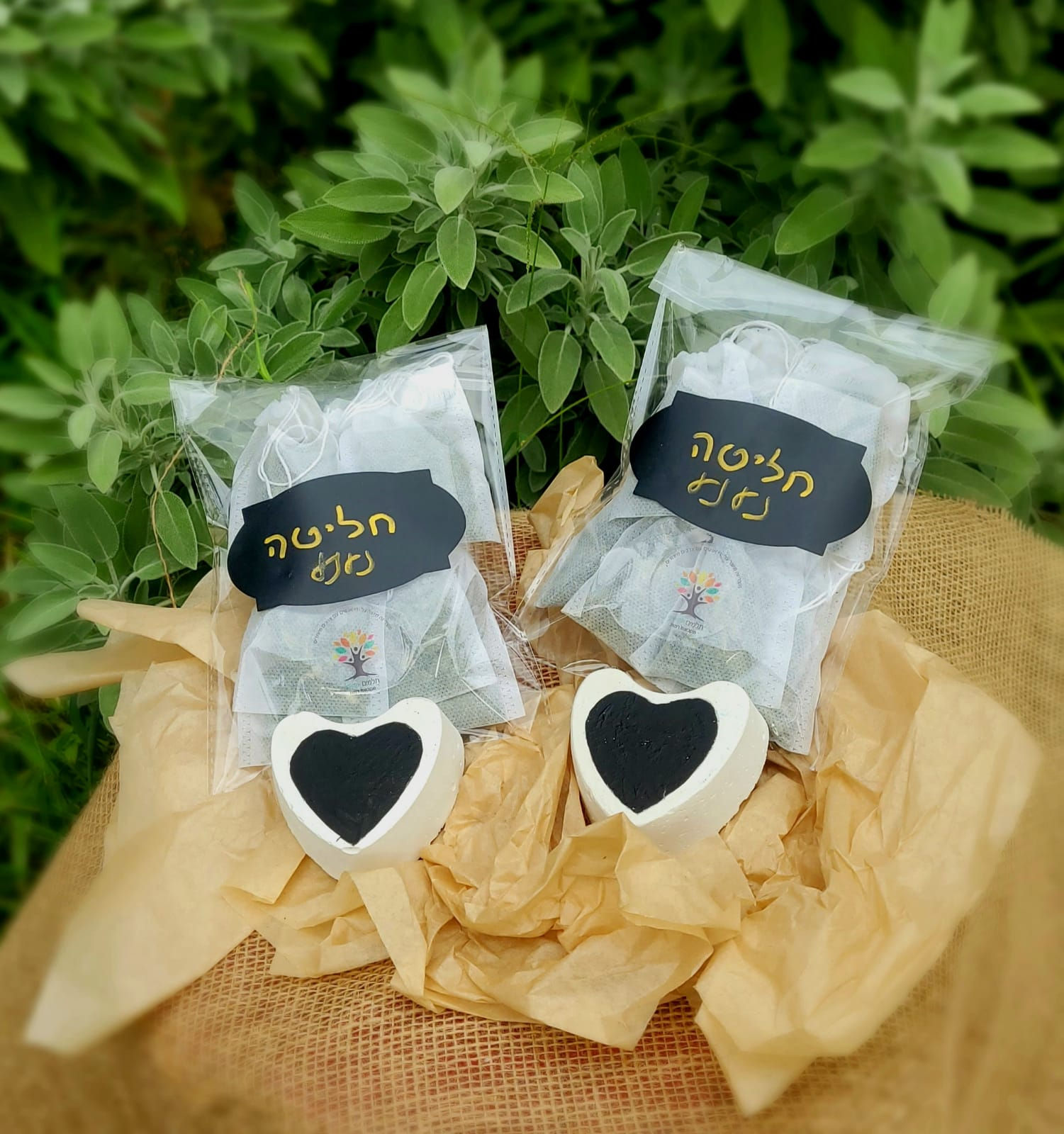 חליטת תבלינים