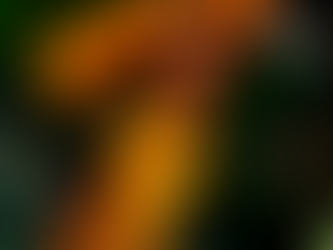 🌹Sri Look 405🌹