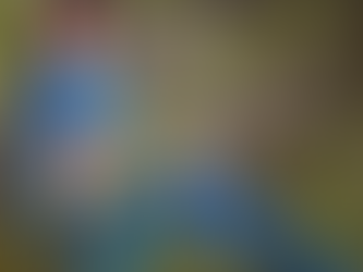 🌹Sri Look 536🌹