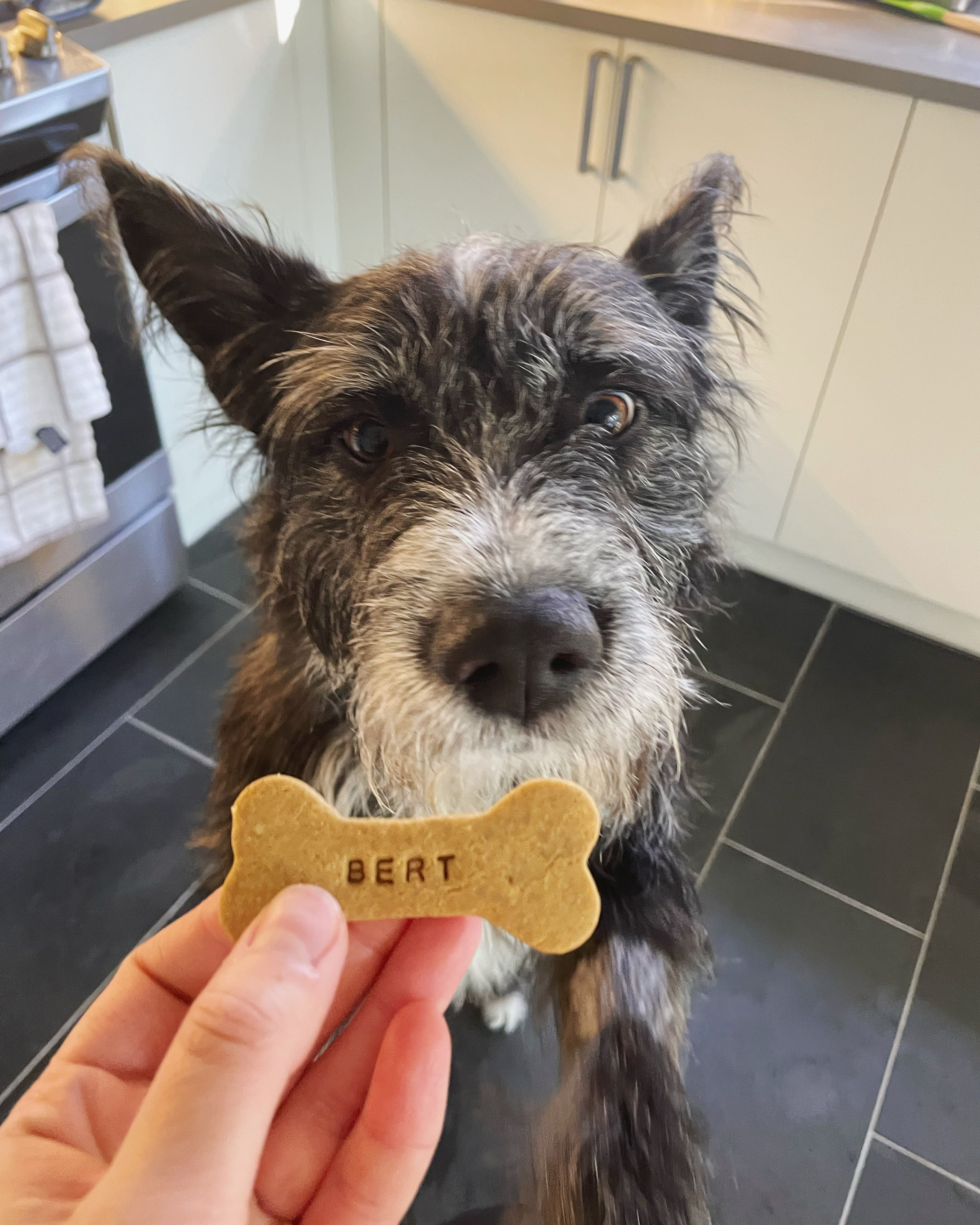 Personalized Organic Dog Biscuits