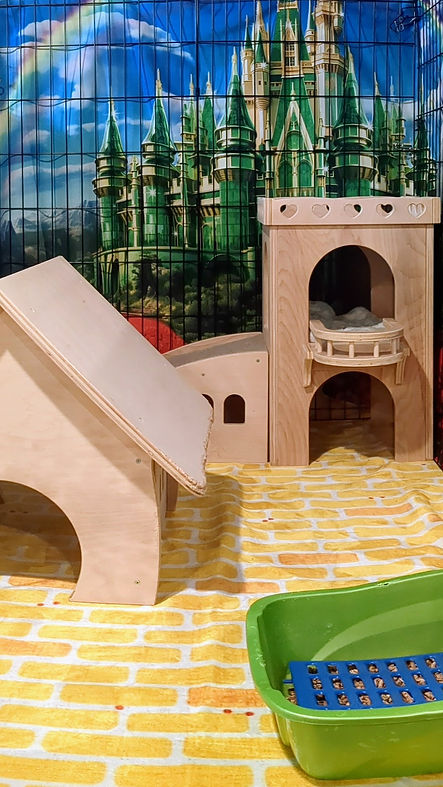 yellow brick road.jpg
