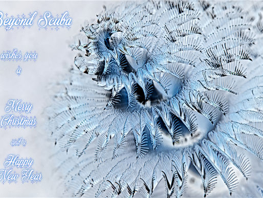 57. Beyond Scuba's Wishes