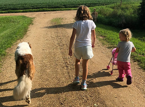 42E04FE4-18D3-4F90-BCDA-C20523FCC3F9_edi