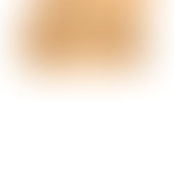 The disappointment of the war in Indonesia