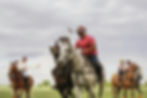 Polo match in Uruguay