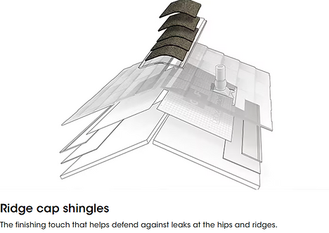 Ridewg cap diagram.png