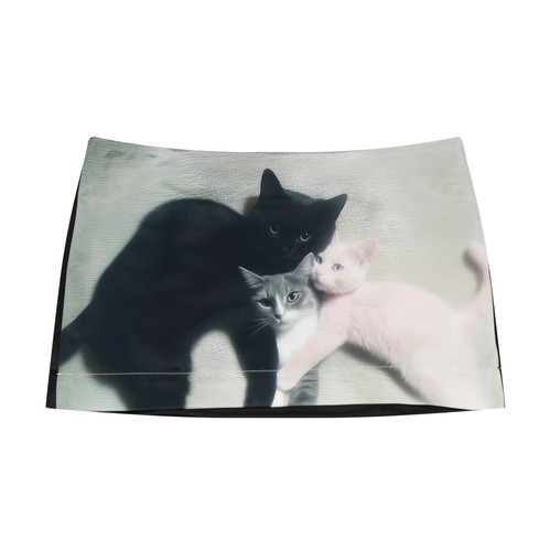 Ashley Williams / MINI SKIRT / KITTEN TRIO | CHICKS WEB