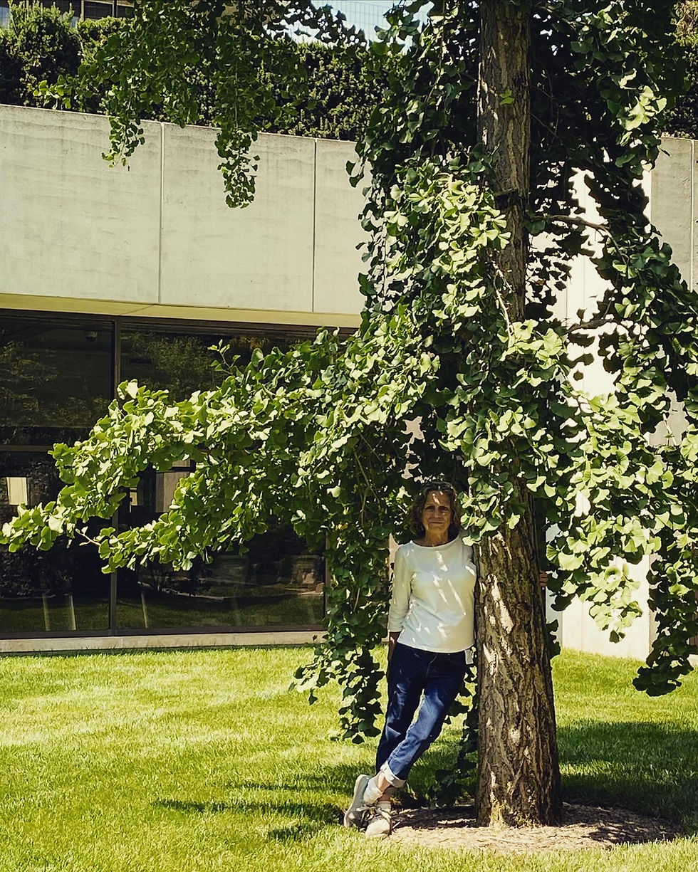 Photo Aug 30 2024, 2 25 52 PM.jpg