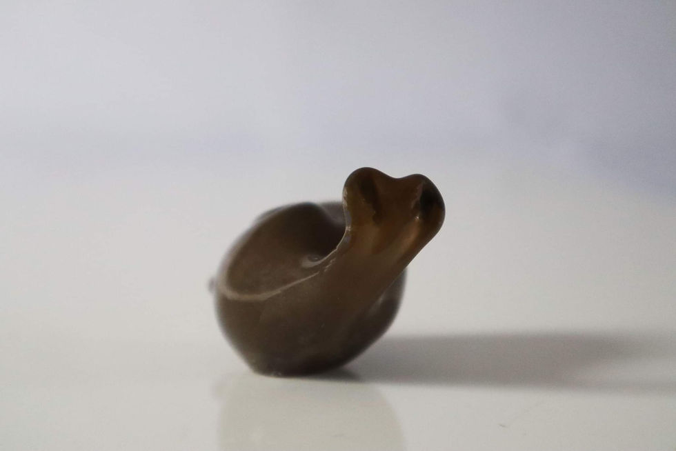 Thumbnail: Snail