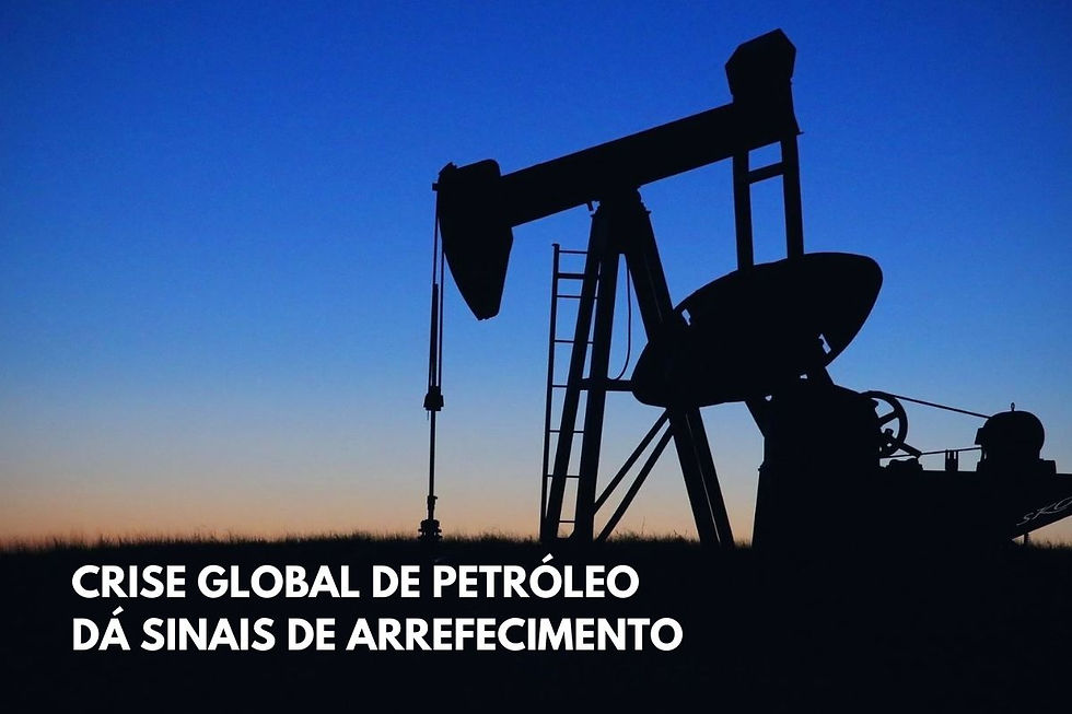 Crise mundial do petróleo - relatório mensal AIE 