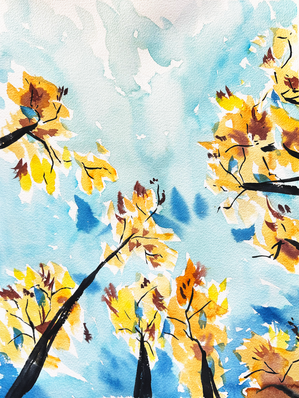 aspens