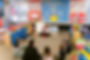 preschool-12.jpg