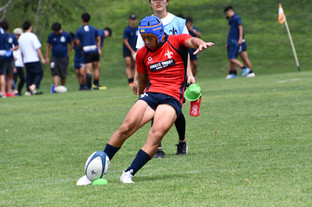 DSC_8469 (2).JPG