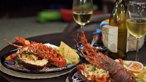 Grilled Lobster and wine at Magdalena Bay Whales Island Comfort Camp