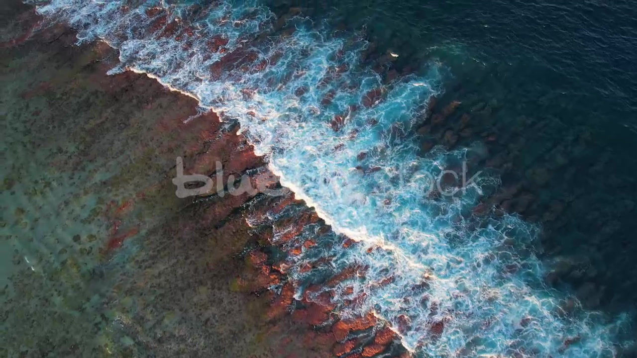 Fakarava Coral Reef_aerial_01