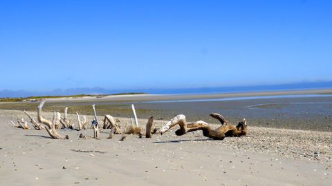 Sand dunes magdalena Bay