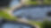 water_pro_index_01.jpeg