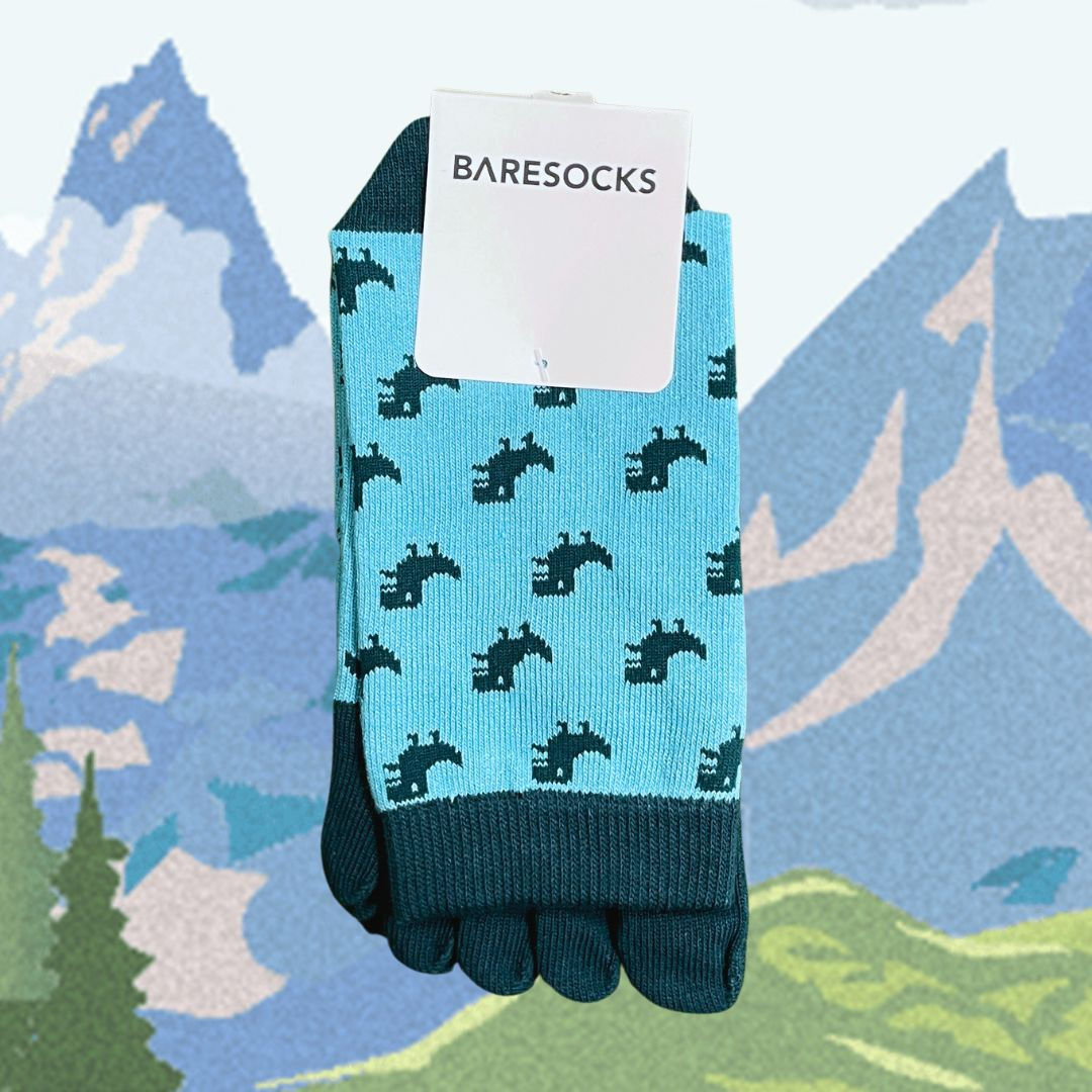 CALCETINES DE DEDOS DINOS 🦖