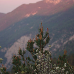 Mont Ventoux (June 2019)