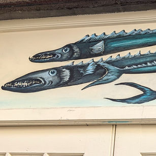 Madeira (December 2021) 2