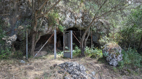 Cave gate