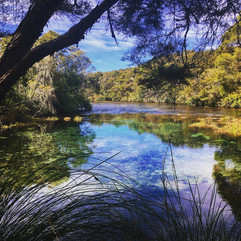 Te Waikoropupū Springs