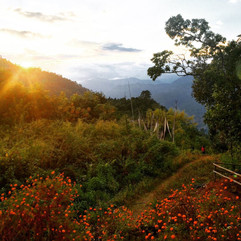 View from Contentment Village