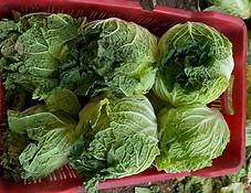 ChatGPT Image Jul 4, 2026, 03_08_02 PM_edited.jpg