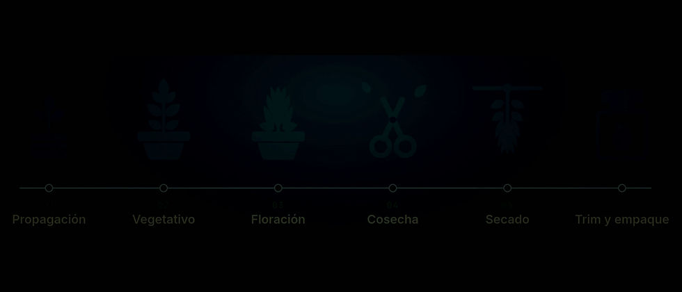 Video Project 3.mp4