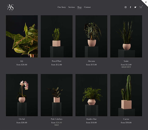 Web shop.jpg