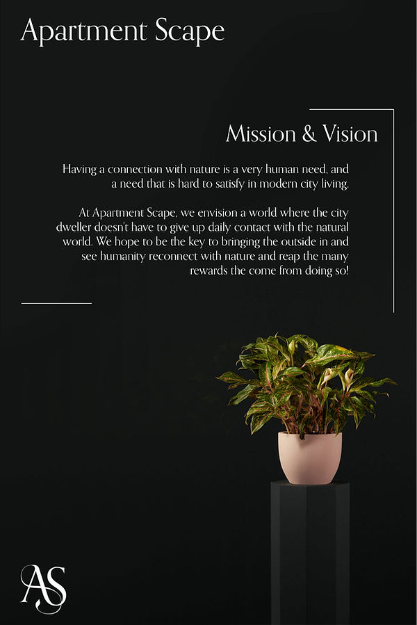 AS shopify for web-02.jpg