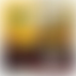 FIRST TEAM - UPDATE TO MANAGEMENT TEAM FOR THE NEW SEASON