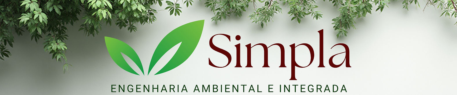 CONSULTORIA AMBIENTAL (8)_edited.jpg