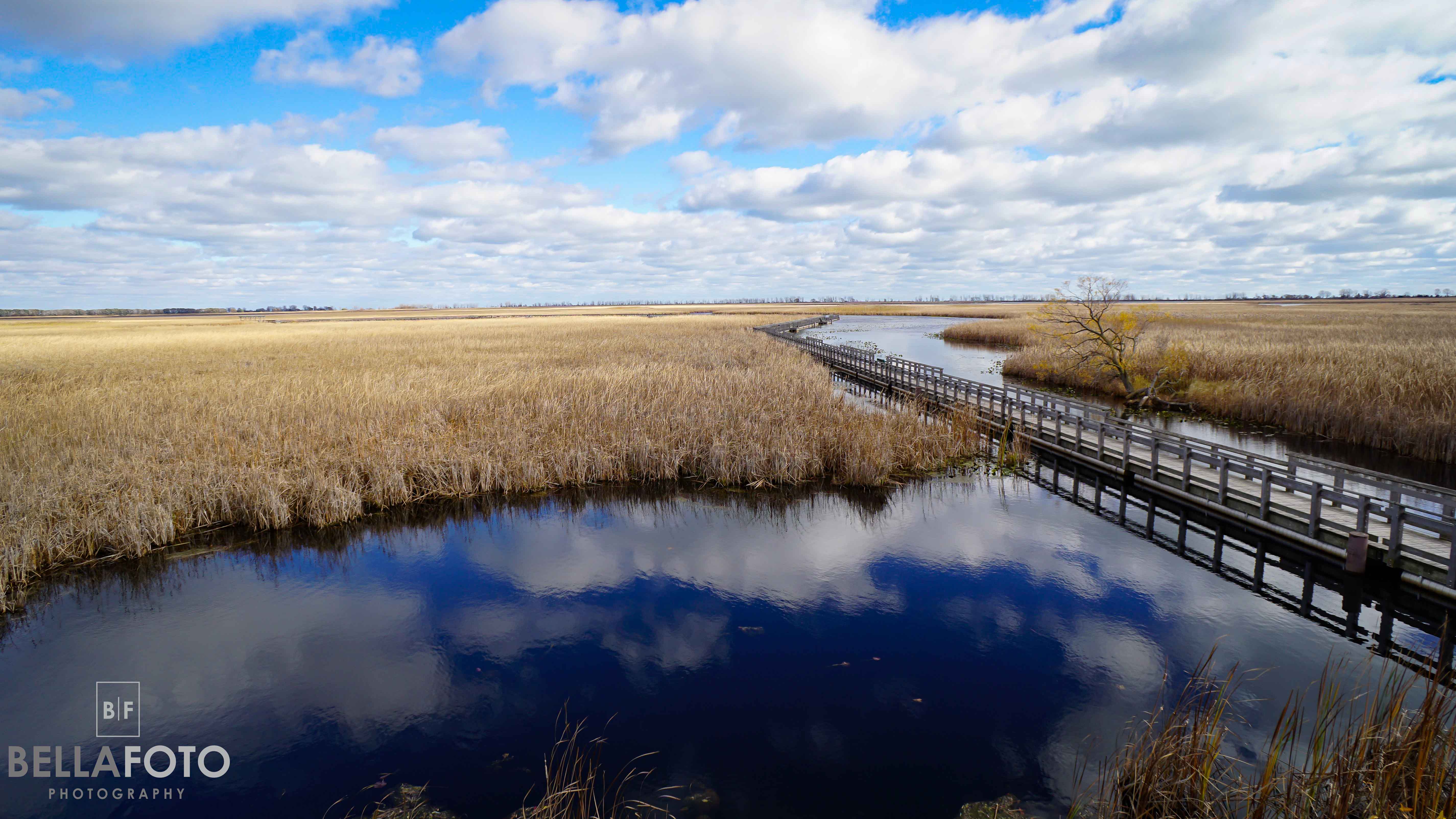 Point Pelee, ON