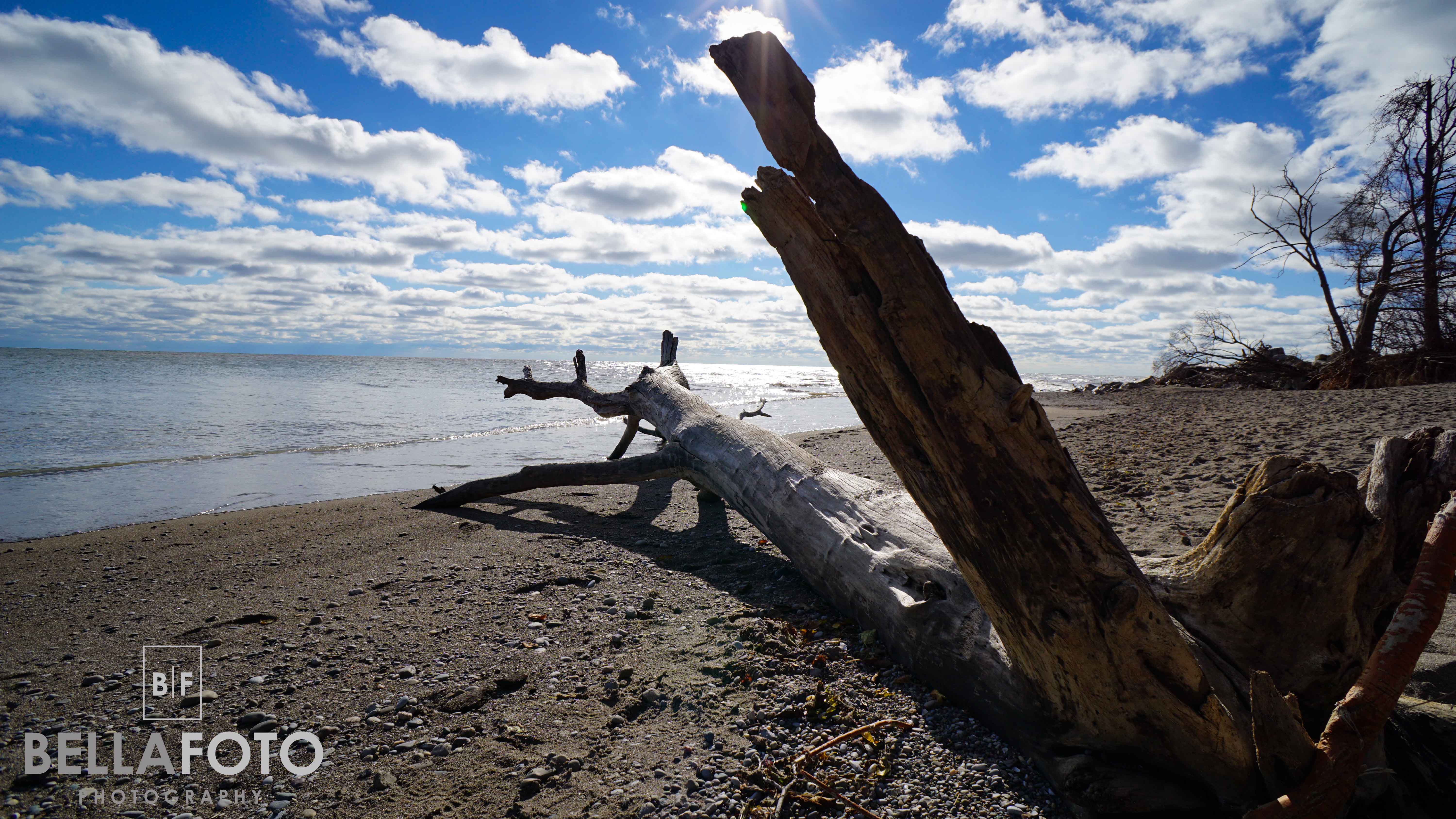Point Pelee, ON