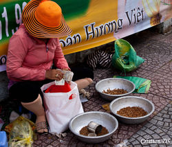 Vietnamese People