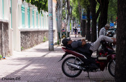 Vietnamese People