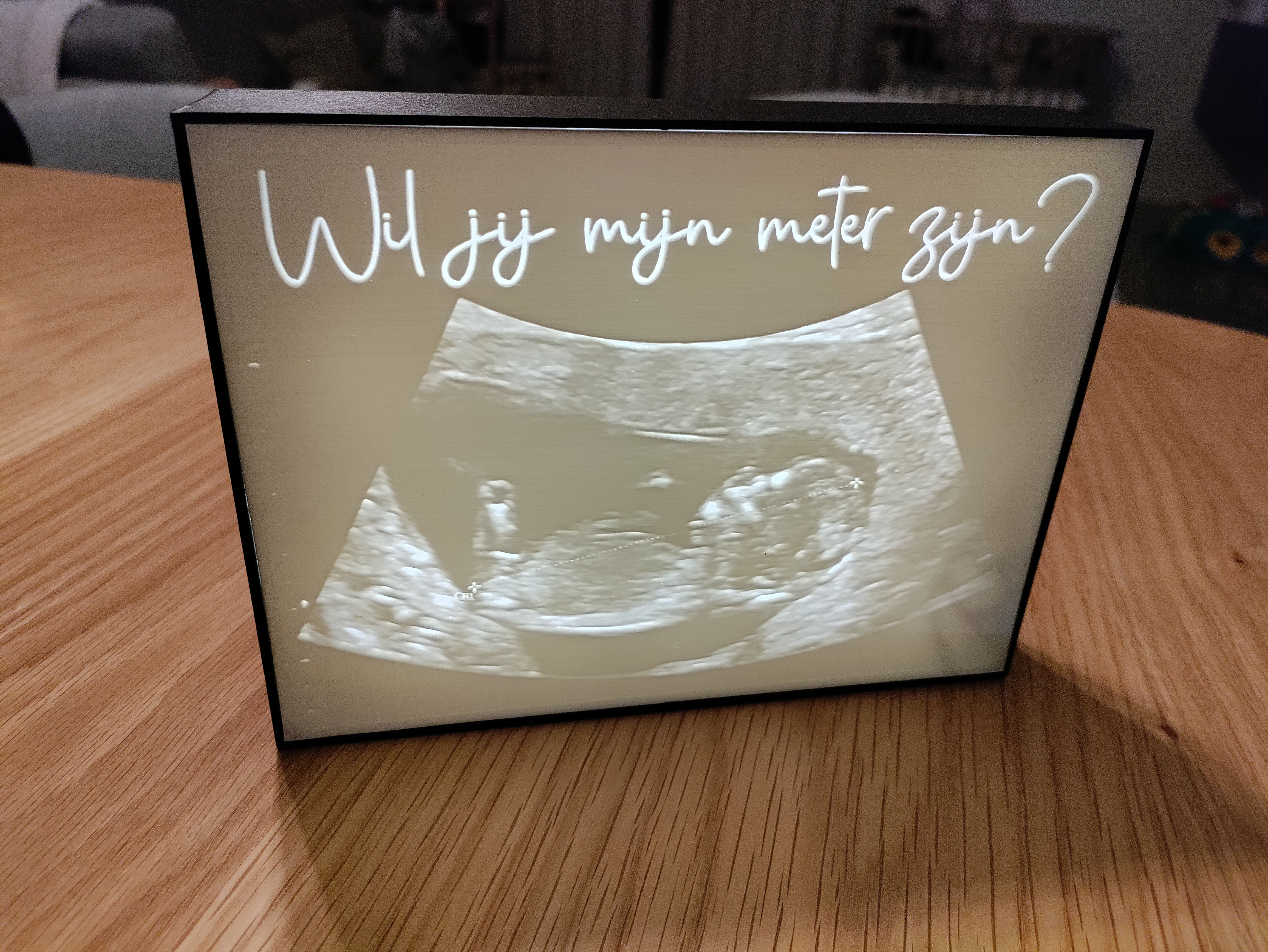 Lichtdoos met reliëfplaat