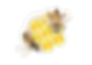 bee-clipart-transparent-22_edited_edited