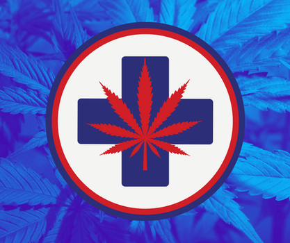 FAQs About Cannabis in Thailand: Laws, Uses, and More