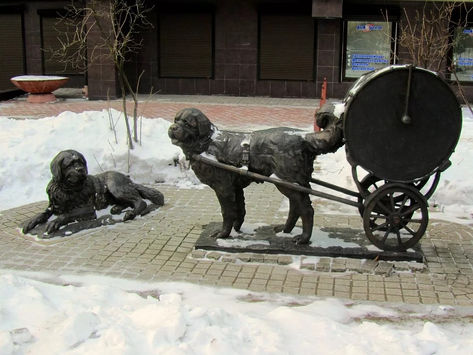 Барабанные собаки
