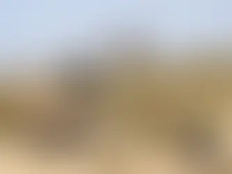 10 תכונות שחייבות להיות לכל לוחם ביחידה מיוחדת  