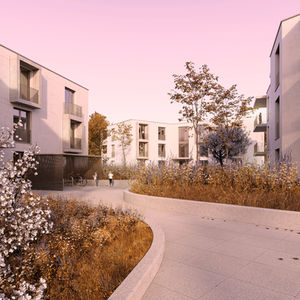 Überbauung mit drei modernen Mehrfamilienhäusern mit Flachdach und Sichtbetonbalkonen in Ettiswil, Luzern.