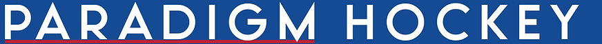 Paradigm Hockey banner logo