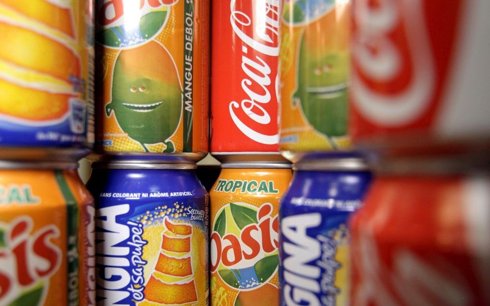 Arranged Food and Objects