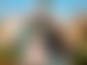 A Day of Enchantment: Our Magical “Disney Dream Day” VIP Experience at Disneyland Paris