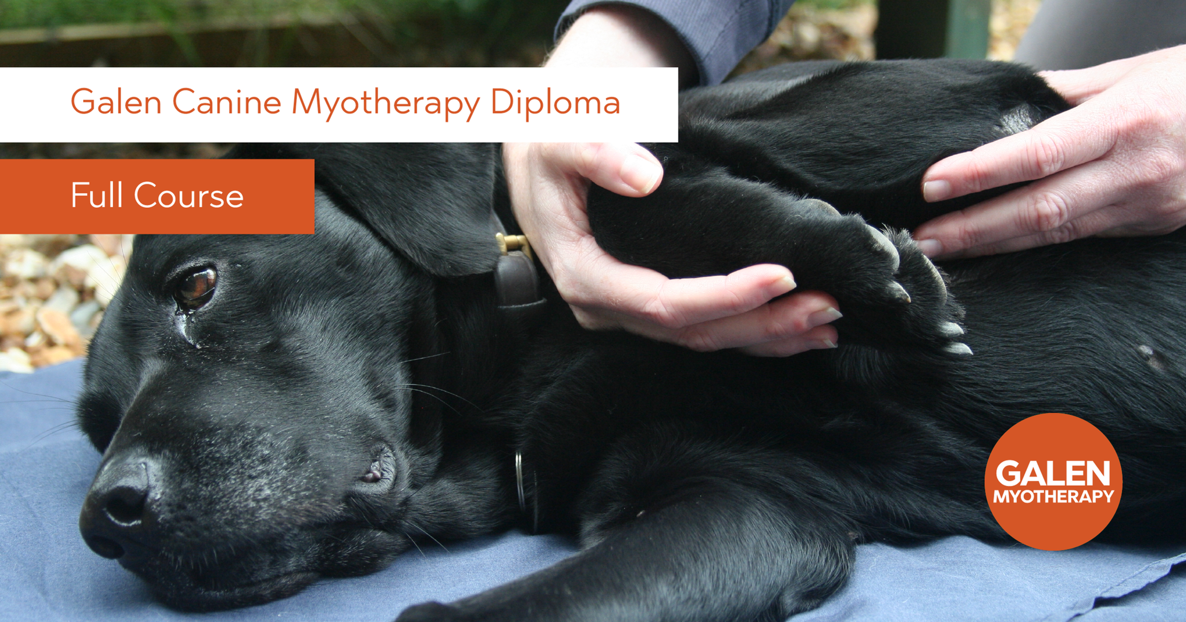 Galen Canine Myotherapy Full Diploma