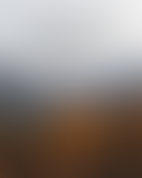 Internal Transformation