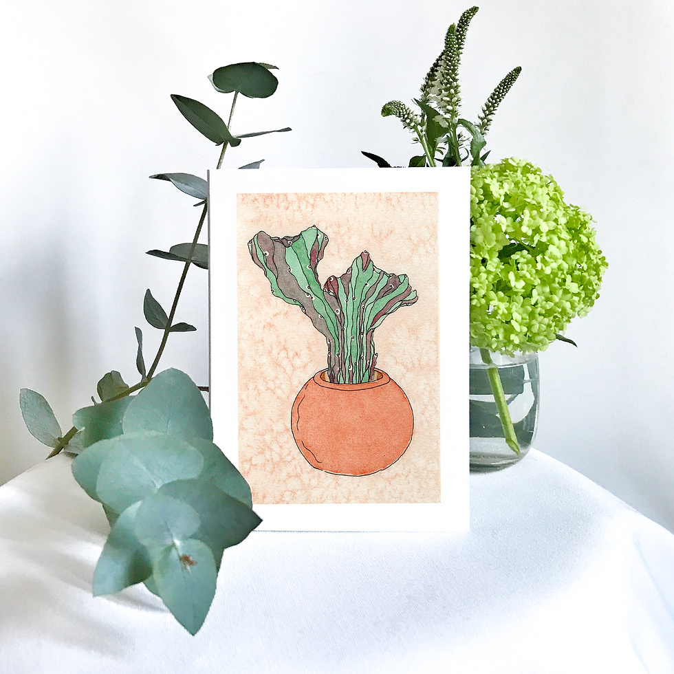 Thumbnail: I'm the 1st set of 3 Botanical Greeting Cards